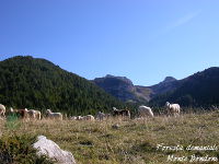 Tre Cime del Bondone