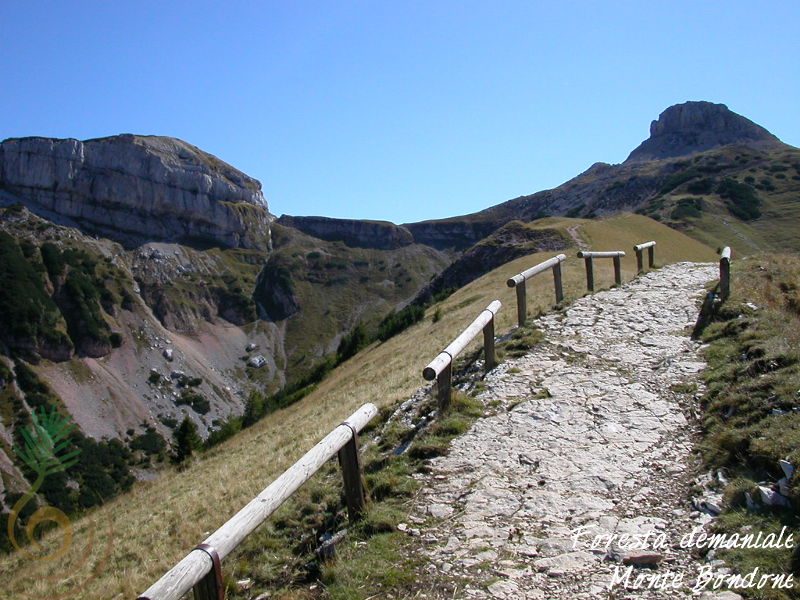 Tre Cime, la dorsale verso il Cornetto