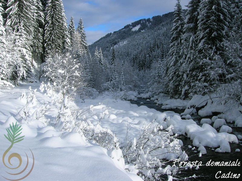 Rio Cadino