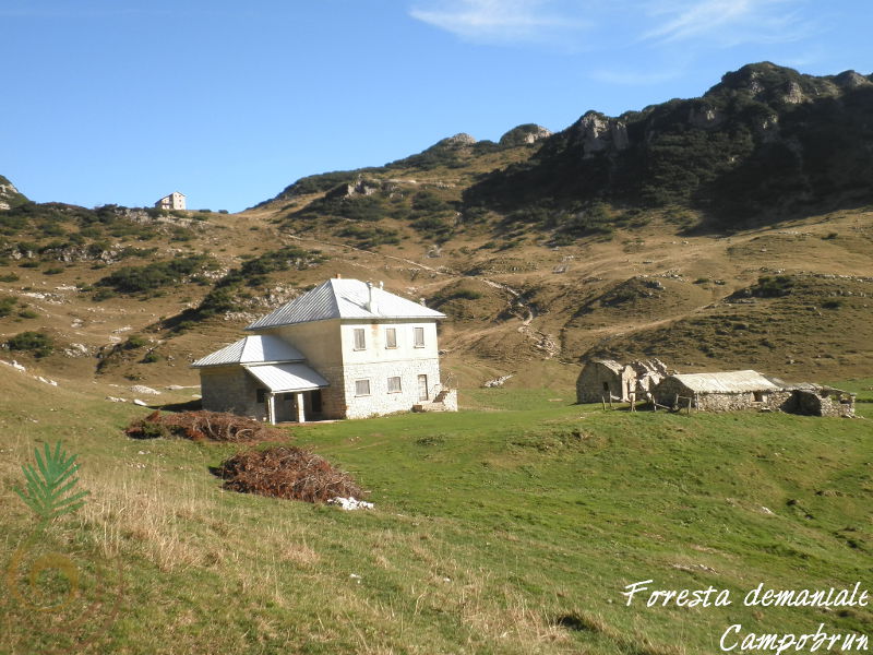 Malga Campobrun