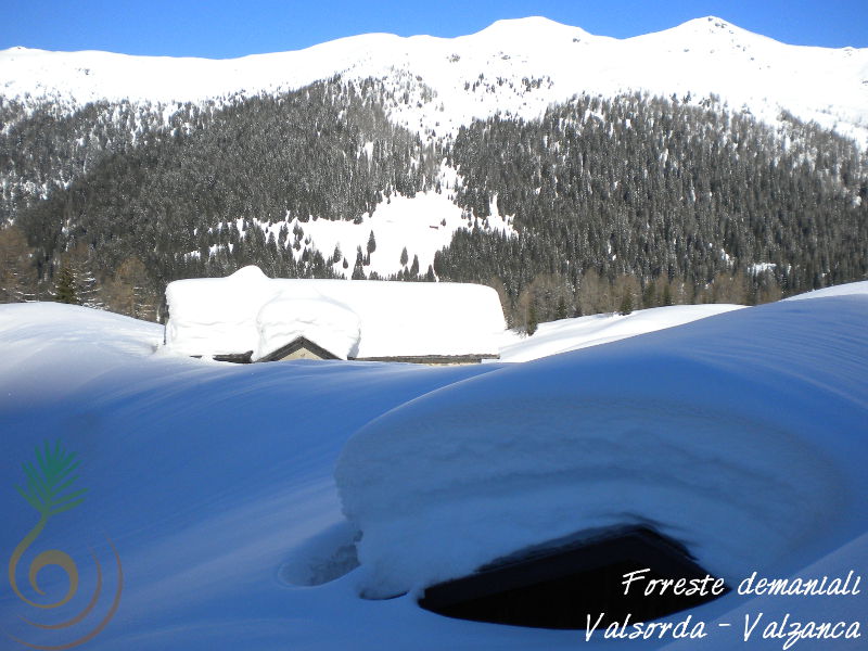 FD Caoria - malga Arzon (inverno 2013/2014)