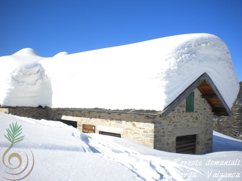 FD Caoria - malga Arzon (inverno 2013/2014)