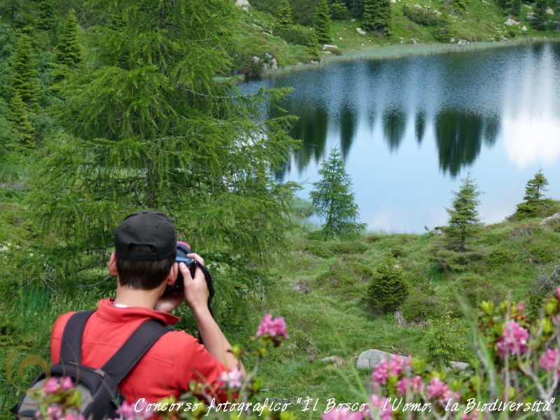 Concorso fotografico "Il Bosco, l'Uomo, la Biodiversit"