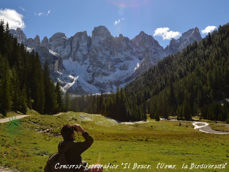 Concorso fotografico "Il Bosco, l'Uomo, la Biodiversit"