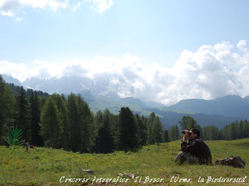 Concorso fotografico "Il Bosco, l'Uomo, la Biodiversit"