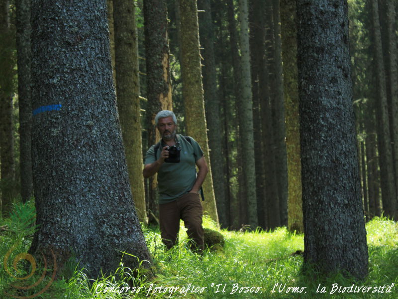 Concorso fotografico "Il Bosco, l'Uomo, la Biodiversit"