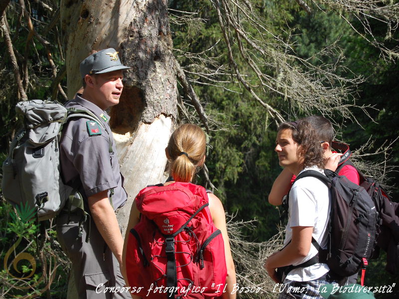 Concorso fotografico "Il Bosco, l'Uomo, la Biodiversit"