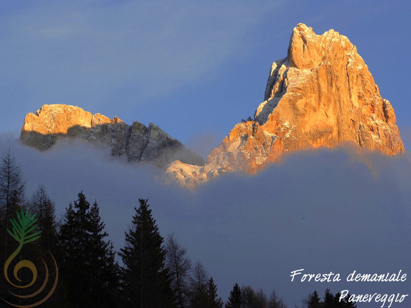 Cimon della Pala