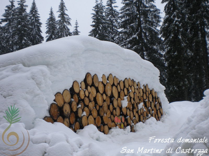 FD San Martino - la gran neve dell'inverno 2013-2014