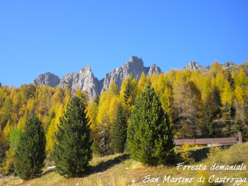 FD San Martino - malga Valcigolera