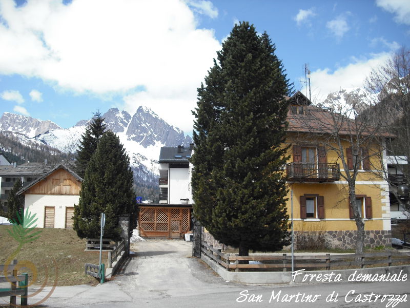 Stazione forestale demaniale di San Martino