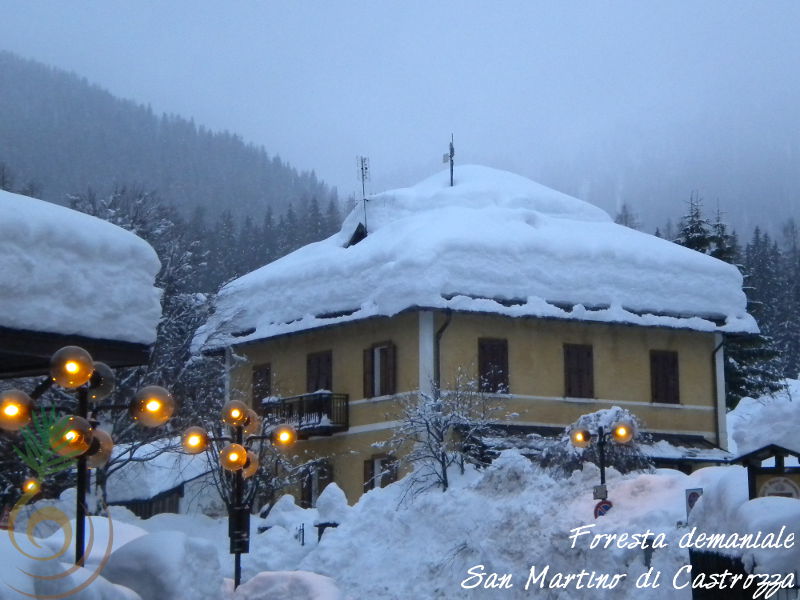 FD San Martino - Stazione forestale demaniale di San Martino