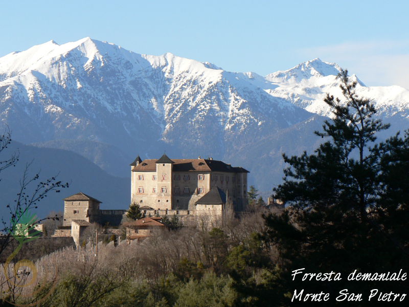 Castel Thun, nei pressi della Foresta demaniale di Monte San Pietro