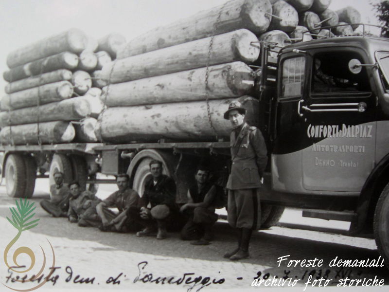 Paneveggio, trasporto di legname (luglio 1938)