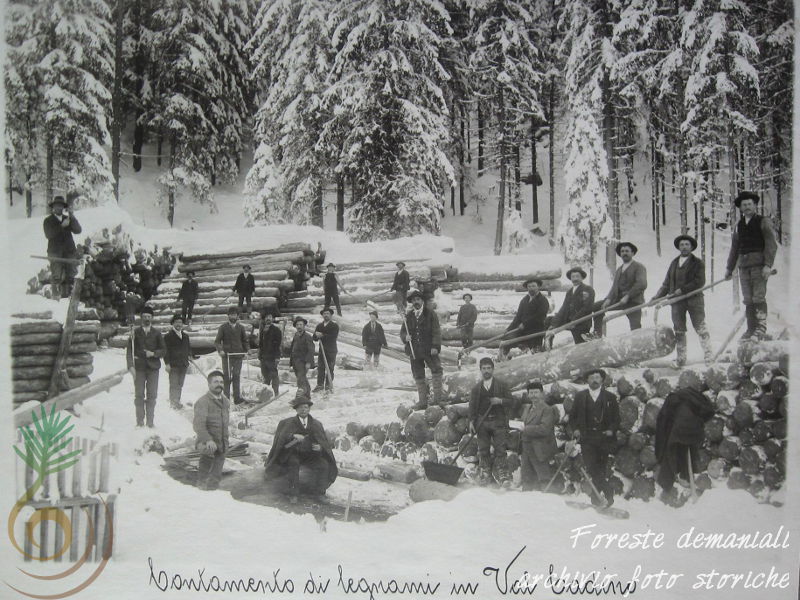 "Contamento" di legnami in Val Cadino