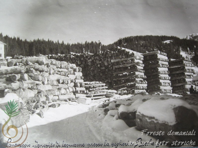 Paneveggio, deposito di legname in piazzale (1926)