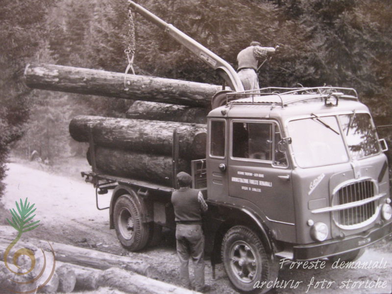 Paneveggio, trasporto di legname (anni '60)