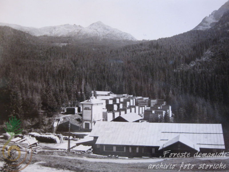 Paneveggio, segheria Travignolo e piazzale Bocche