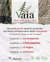 Locandina del podcast © Compagnia delle Foreste